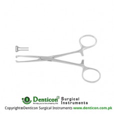 Allis-Baby Intestinal and Tissue Grasping Forceps 4 x 5 Teeth Stainless Steel, 13 cm - 5"